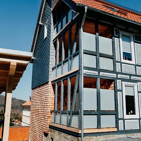 Wohnwerk Lautenthal شقة لانغلسهايم