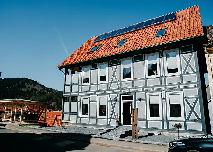 Wohnwerk Lautenthal Διαμέρισμα