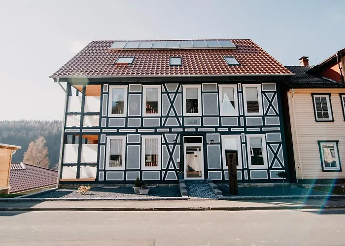 Wohnwerk Lautenthal Διαμέρισμα